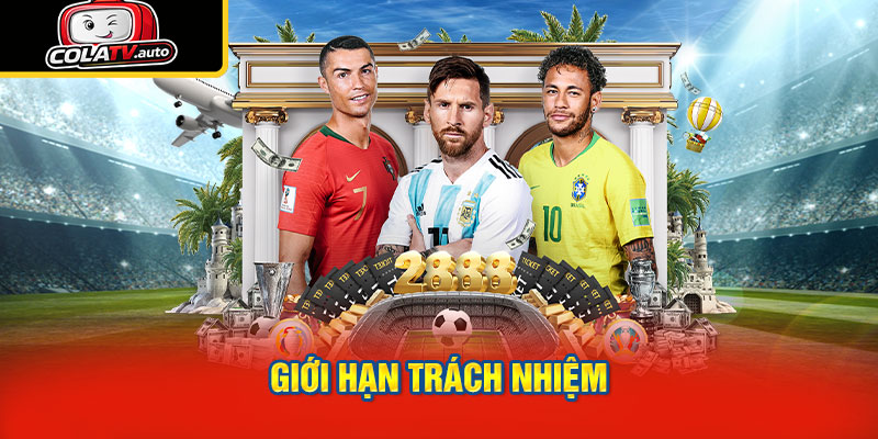 Giới hạn trách nhiệm của các bên liên quan
