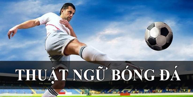 Thuật ngữ bóng đá thường xuyên được sử dụng trong các trận đấu